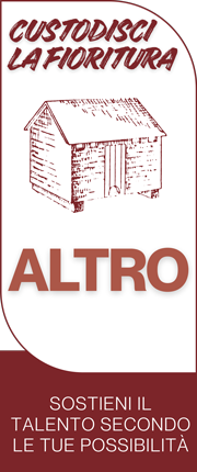 immagine dona Altro importo